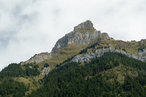 BIM16