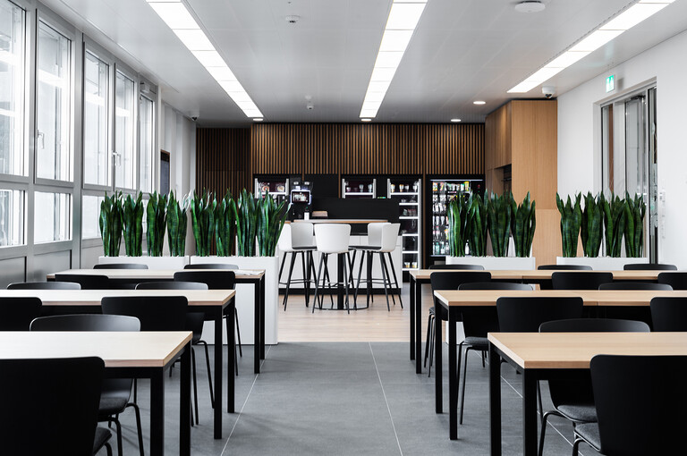 250208 Galliker Buero 33