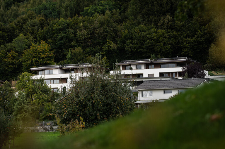 Kollektivw Wikon 02 WEB