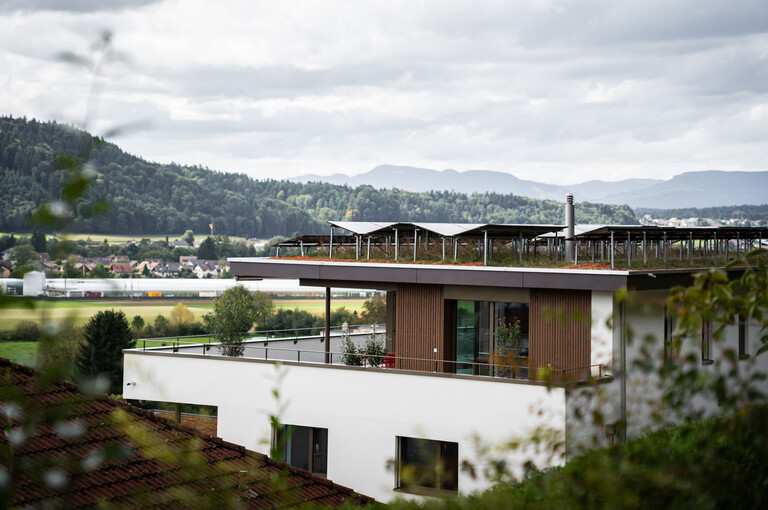 Kollektivw Wikon 04 WEB